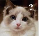 微信号码变了，怎么登录还是会显示老号码？