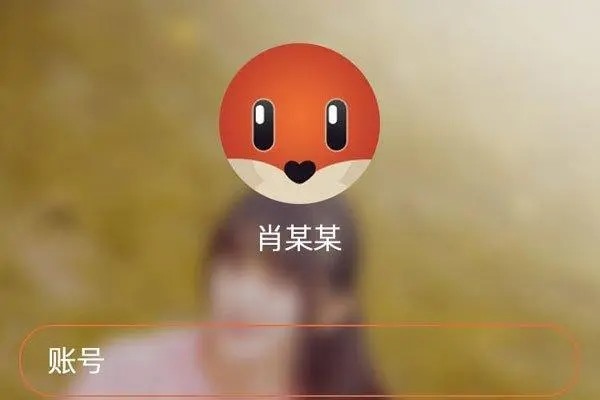 探探里有ld号怎么找不到人？